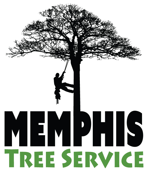 Tree companies Memphis
