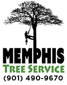Tree Service Memphis Logo